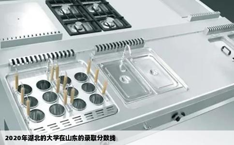 2020年湖北的大学在山东的录取分数线