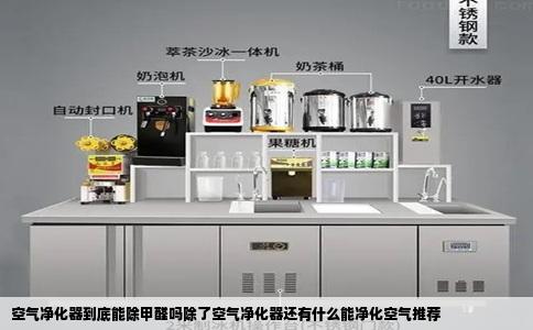空气净化器到底能除甲醛吗除了空气净化器还有什么能净化空气推荐