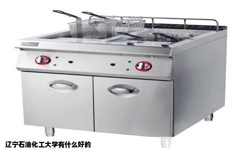 辽宁石油化工大学有什么好的