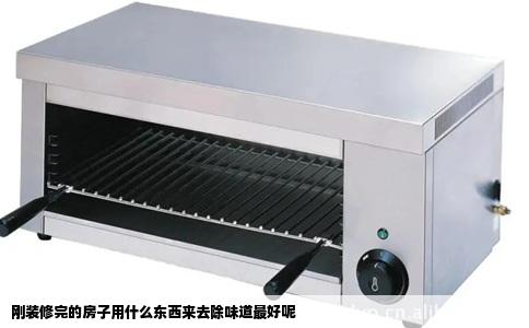 刚装修完的房子用什么东西来去除味道最好呢