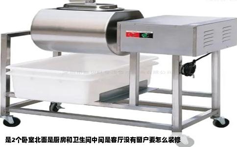 是2个卧室北面是厨房和卫生间中间是客厅没有窗户要怎么装修