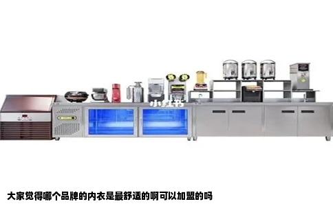 大家觉得哪个品牌的内衣是最舒适的啊可以加盟的吗