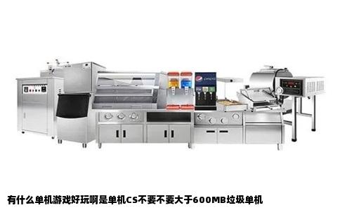 有什么单机游戏好玩啊是单机CS不要不要大于600MB垃圾单机