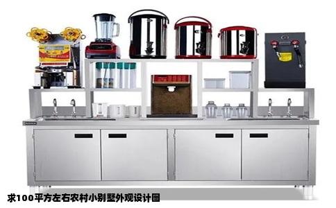 求100平方左右农村小别墅外观设计图