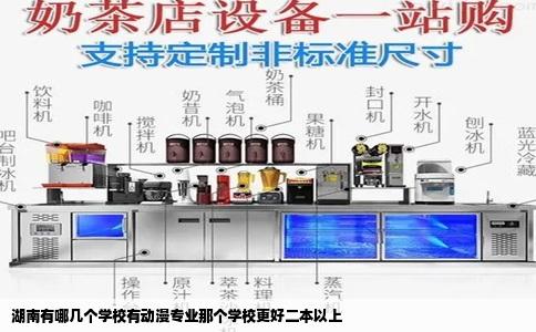 湖南有哪几个学校有动漫专业那个学校更好二本以上