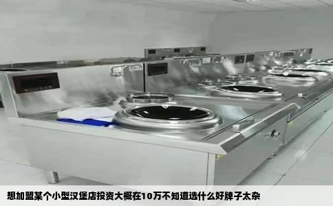 想加盟某个小型汉堡店投资大概在10万不知道选什么好牌子太杂