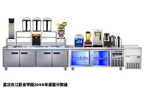 武汉长江职业学院2008年录取分数线