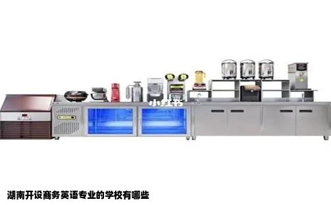 湖南开设商务英语专业的学校有哪些