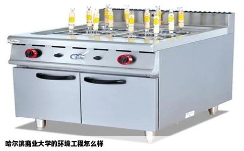 哈尔滨商业大学的环境工程怎么样