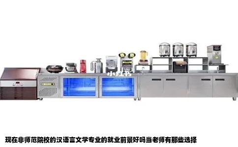 现在非师范院校的汉语言文学专业的就业前景好吗当老师有那些选择