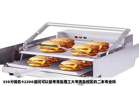 530分排名92200请问可以报考青岛理工大学青岛校区的二本专业吗