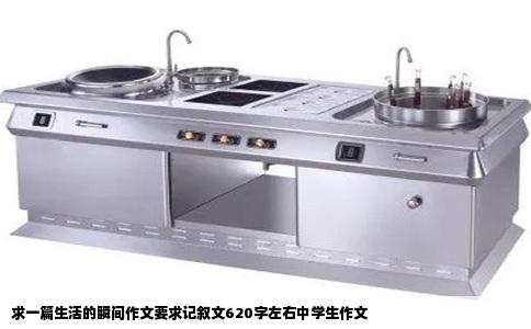 求一篇生活的瞬间作文要求记叙文620字左右中学生作文