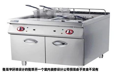 我是学环境设计的我想开一个室内装修设计公司但是由于资金不足有