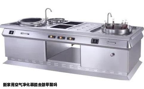 新家用空气净化器能去除甲醛吗