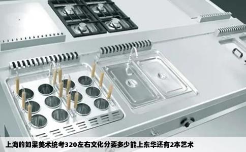 上海的如果美术统考320左右文化分要多少能上东华还有2本艺术