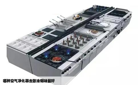 哪种空气净化器去除油烟味最好