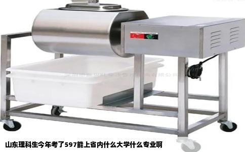 山东理科生今年考了597能上省内什么大学什么专业啊