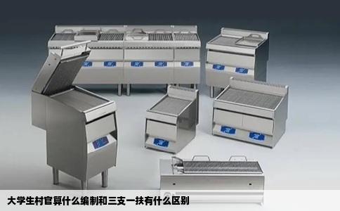 大学生村官算什么编制和三支一扶有什么区别