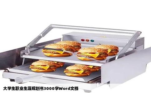 大学生职业生涯规划书3000字Word文档