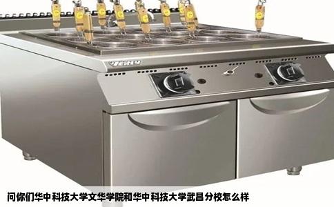 问你们华中科技大学文华学院和华中科技大学武昌分校怎么样