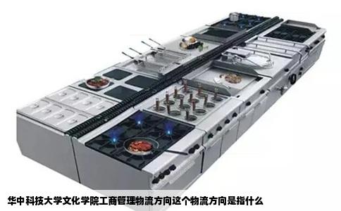 华中科技大学文化学院工商管理物流方向这个物流方向是指什么