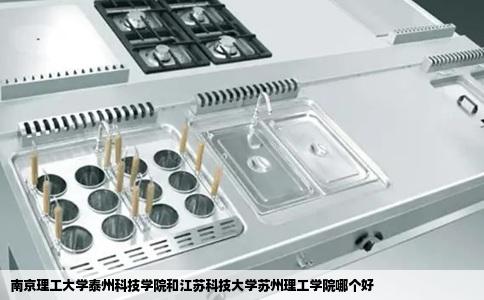 南京理工大学泰州科技学院和江苏科技大学苏州理工学院哪个好