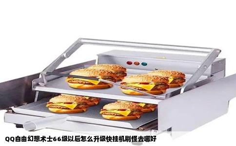 QQ自由幻想术士66级以后怎么升级快挂机刷怪去哪好