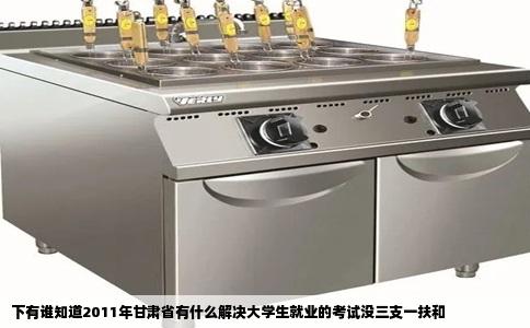 下有谁知道2011年甘肃省有什么解决大学生就业的考试没三支一扶和