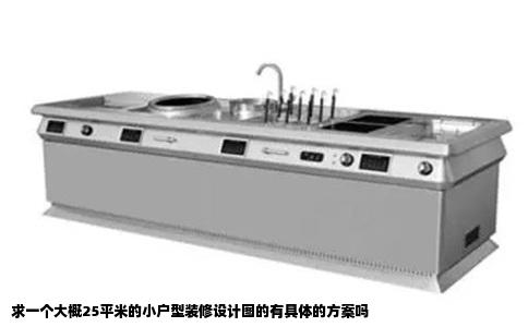 求一个大概25平米的小户型装修设计图的有具体的方案吗