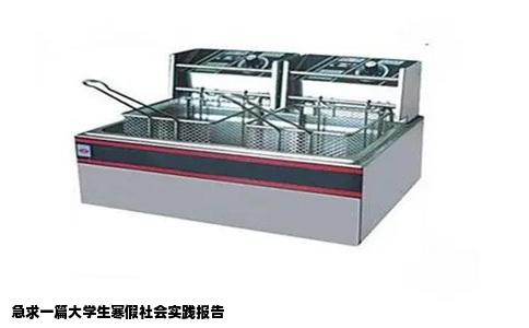 急求一篇大学生寒假社会实践报告