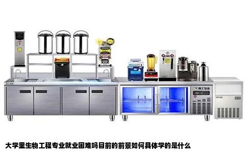 大学里生物工程专业就业困难吗目前的前景如何具体学的是什么