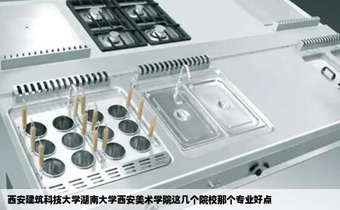 西安建筑科技大学湖南大学西安美术学院这几个院校那个专业好点