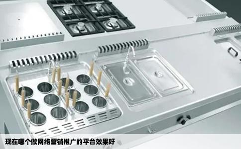 现在哪个做网络营销推广的平台效果好