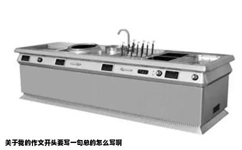 关于我的作文开头要写一句总的怎么写啊