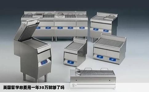 英国留学总费用一年30万就够了吗
