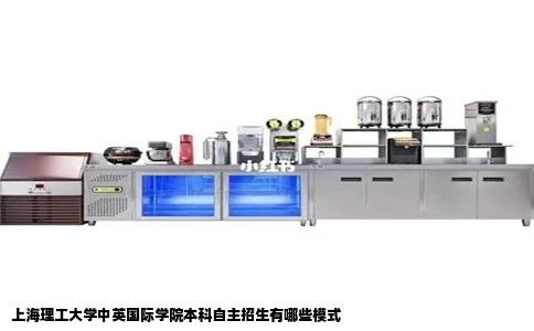 上海理工大学中英国际学院本科自主招生有哪些模式