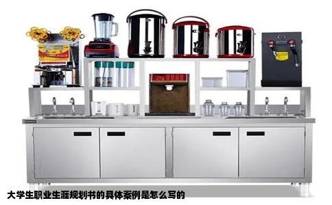 大学生职业生涯规划书的具体案例是怎么写的