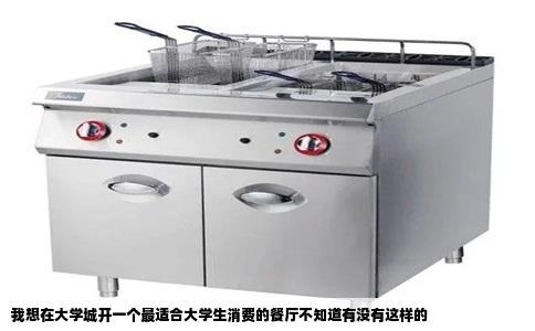 我想在大学城开一个最适合大学生消费的餐厅不知道有没有这样的
