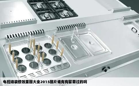 电视墙装修效果图大全2015图片谁有有留意过的吗