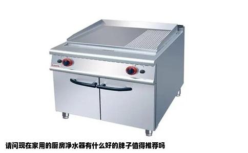 请问现在家用的厨房净水器有什么好的牌子值得推荐吗