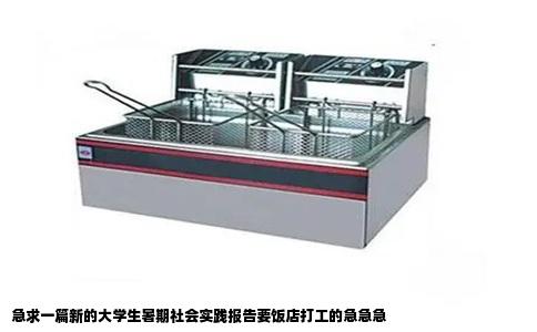 急求一篇新的大学生暑期社会实践报告要饭店打工的急急急