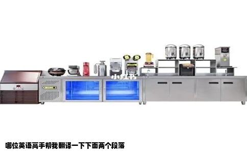 哪位英语高手帮我翻译一下下面两个段落