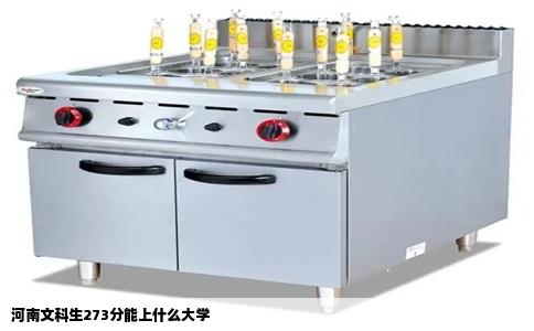 河南文科生273分能上什么大学