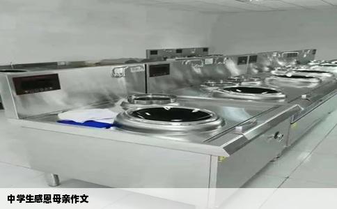 中学生感恩母亲作文