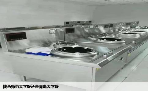 陕西师范大学好还是青岛大学好