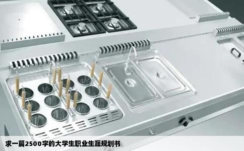 求一篇2500字的大学生职业生涯规划书