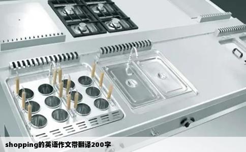 shopping的英语作文带翻译200字
