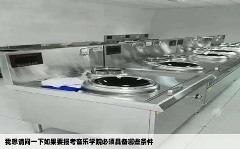 我想请问一下如果要报考音乐学院必须具备哪些条件