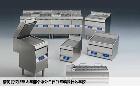 请问武汉纺织大学那个中外合作的专科是什么学校
