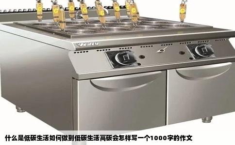 什么是低碳生活如何做到低碳生活高碳会怎样写一个1000字的作文
